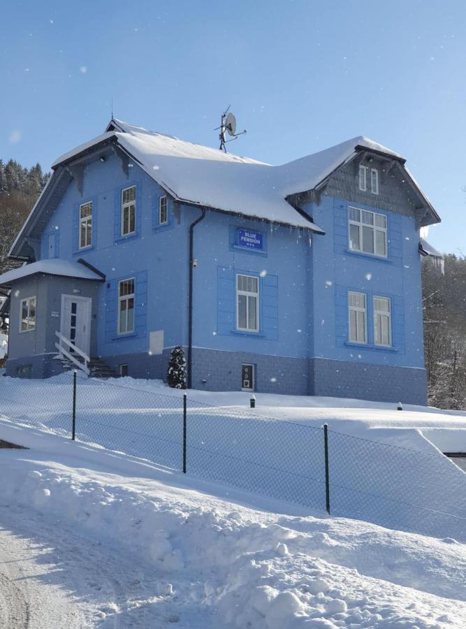 Blue Pension Svoboda nad Úpou エクステリア 写真