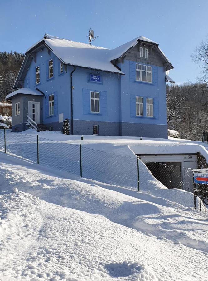 Blue Pension Svoboda nad Úpou エクステリア 写真