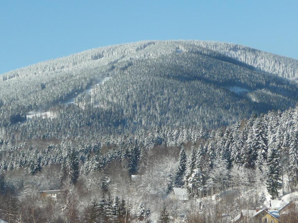 Blue Pension Svoboda nad Úpou エクステリア 写真