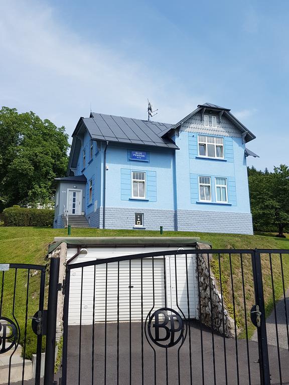 Blue Pension Svoboda nad Úpou エクステリア 写真