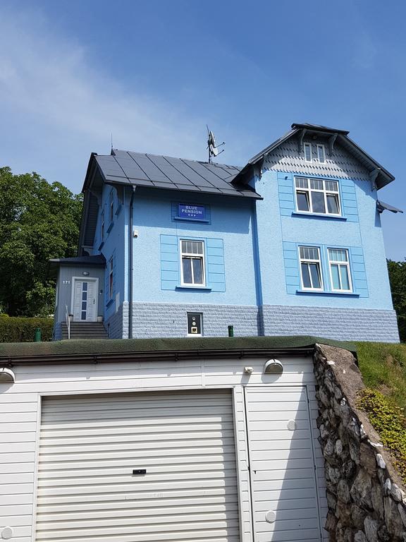 Blue Pension Svoboda nad Úpou エクステリア 写真