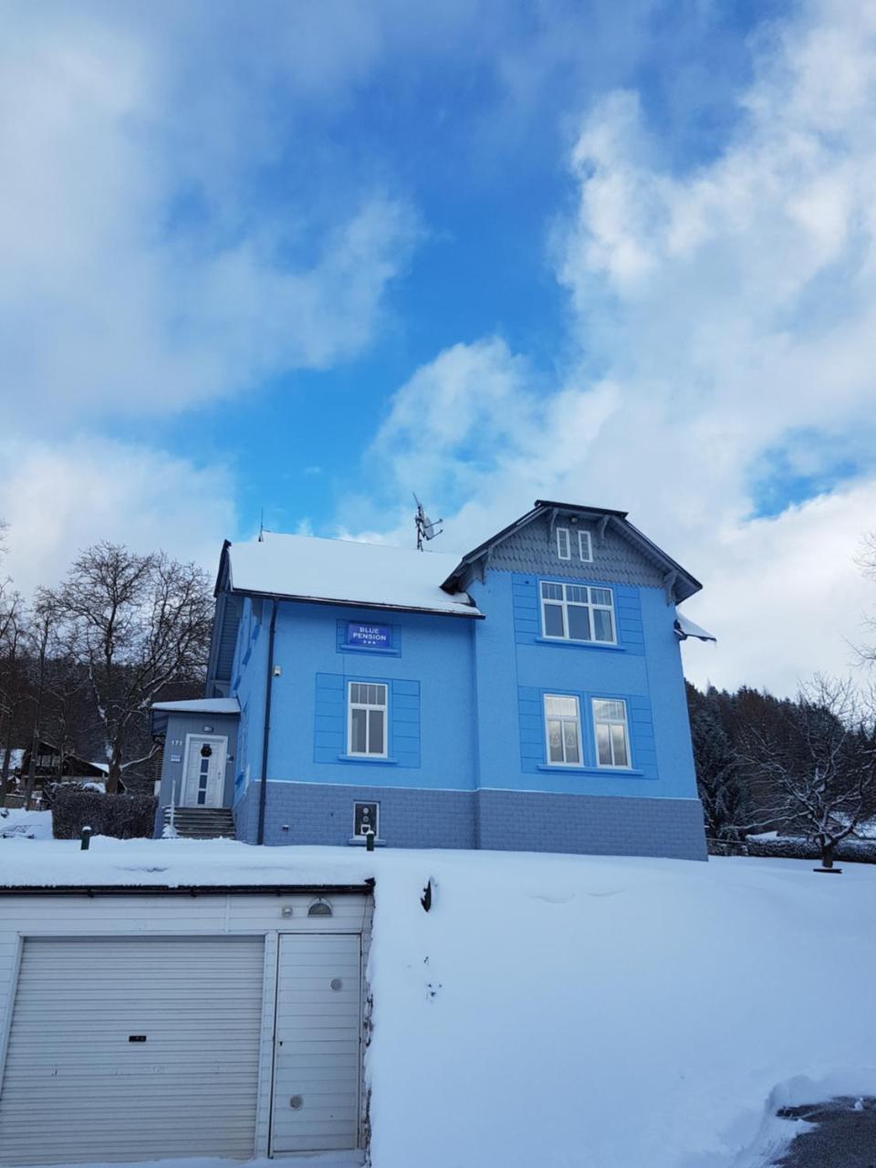Blue Pension Svoboda nad Úpou エクステリア 写真