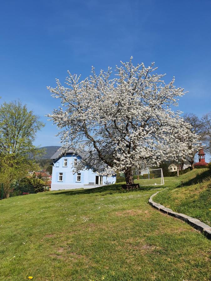 Blue Pension Svoboda nad Úpou エクステリア 写真